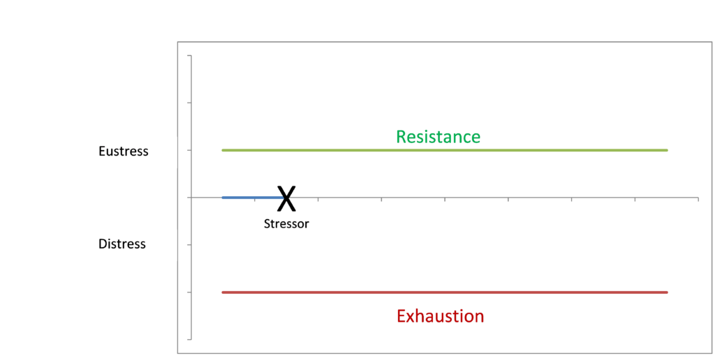 how-do-you-recover-convergent-movement-and-performance-llc