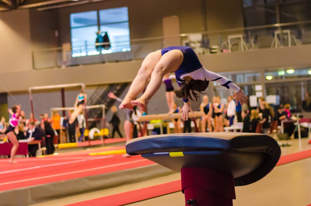 Gymnastics Physical Therapy and Performance Vault