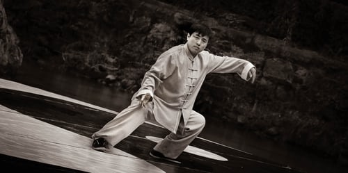 Convergent kung fu