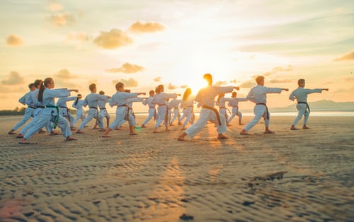 Convergent martial arts group